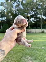 processed/1996b3bf-8a43-4f0a-99d0-2b53be58350a/listing/b72e4fcd-bf12-42fb-a1d7-9b0c2d1bc7e6/b9dd865a-4492-4177-9f79-22700a999df3