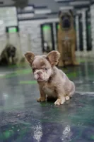 processed/1996b3bf-8a43-4f0a-99d0-2b53be58350a/listing/b72e4fcd-bf12-42fb-a1d7-9b0c2d1bc7e6/dd49133f-54ff-45a9-b656-024e915641b0