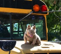 processed/1996b3bf-8a43-4f0a-99d0-2b53be58350a/listing/b72e4fcd-bf12-42fb-a1d7-9b0c2d1bc7e6/fbc76336-6739-4190-8d23-c580b7d7d58d