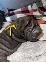 processed/1997e876-5616-4b0f-b4e5-f36f2cb934eb/listing/aeb2fdc9-3e1f-4ed5-9fb2-cf7722dd5e38/8be1b9aa-0296-4d60-b228-1a6c02c706ad