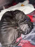 processed/1997e876-5616-4b0f-b4e5-f36f2cb934eb/listing/aeb2fdc9-3e1f-4ed5-9fb2-cf7722dd5e38/99e20adc-39ed-416c-b85e-48f604da8c6a