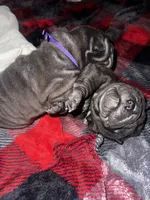 processed/1997e876-5616-4b0f-b4e5-f36f2cb934eb/listing/aeb2fdc9-3e1f-4ed5-9fb2-cf7722dd5e38/af9f42ed-2f46-44d8-b56d-c3388bda03a3