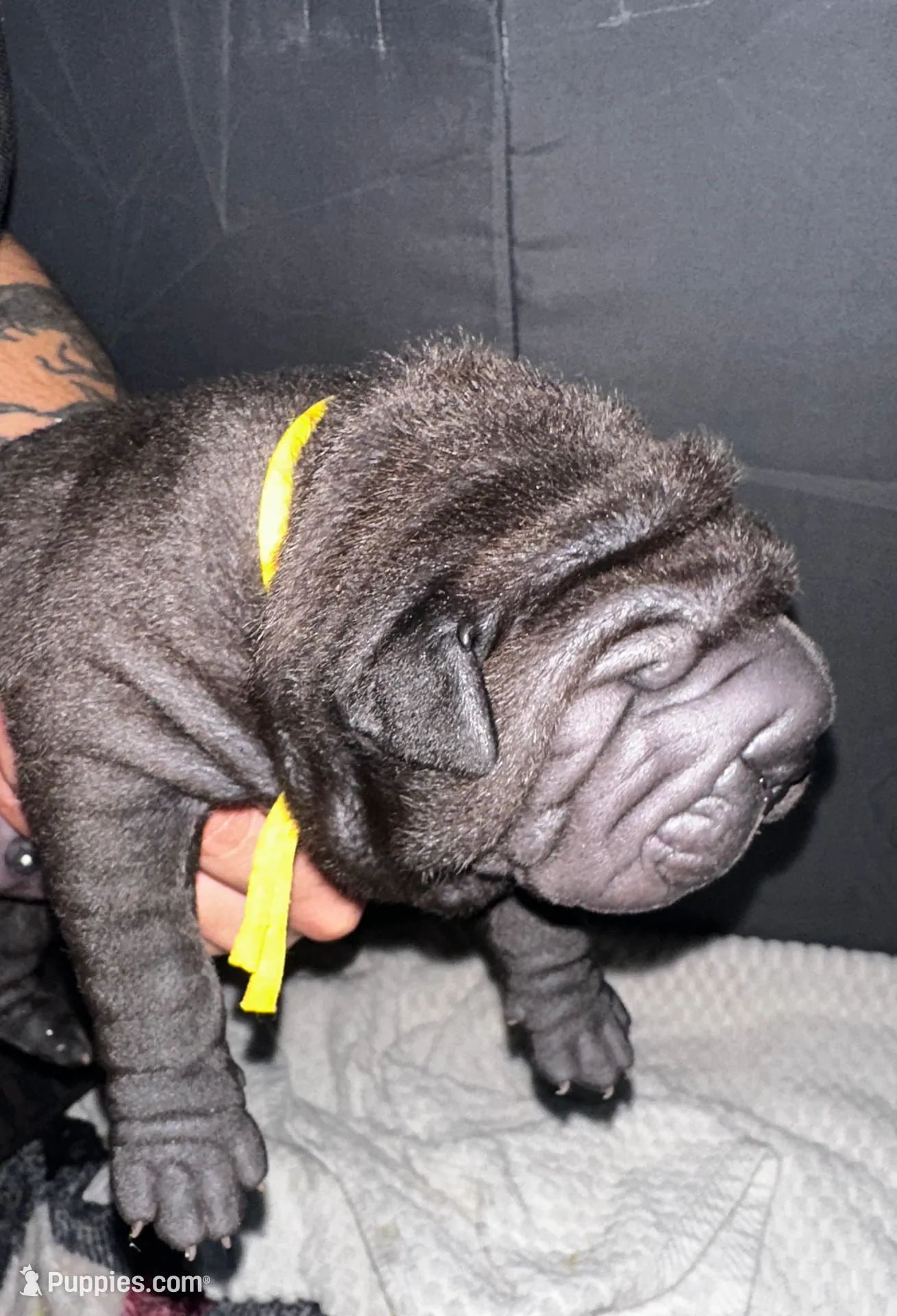 processed/1997e876-5616-4b0f-b4e5-f36f2cb934eb/listing/aeb2fdc9-3e1f-4ed5-9fb2-cf7722dd5e38/d65ea0eb-c45c-4b29-9254-5129ff8f570b