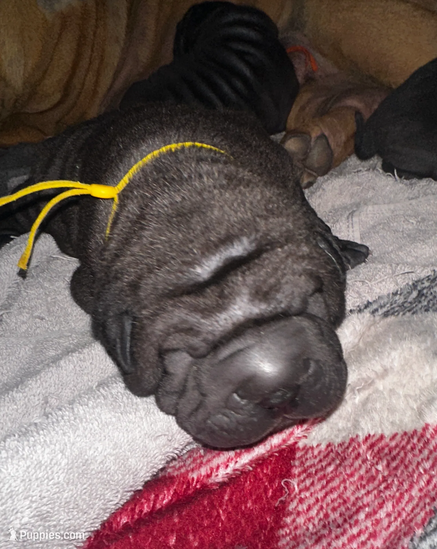 processed/1997e876-5616-4b0f-b4e5-f36f2cb934eb/listing/aeb2fdc9-3e1f-4ed5-9fb2-cf7722dd5e38/e03731ae-e63f-44a7-acda-f0ed271e99f8