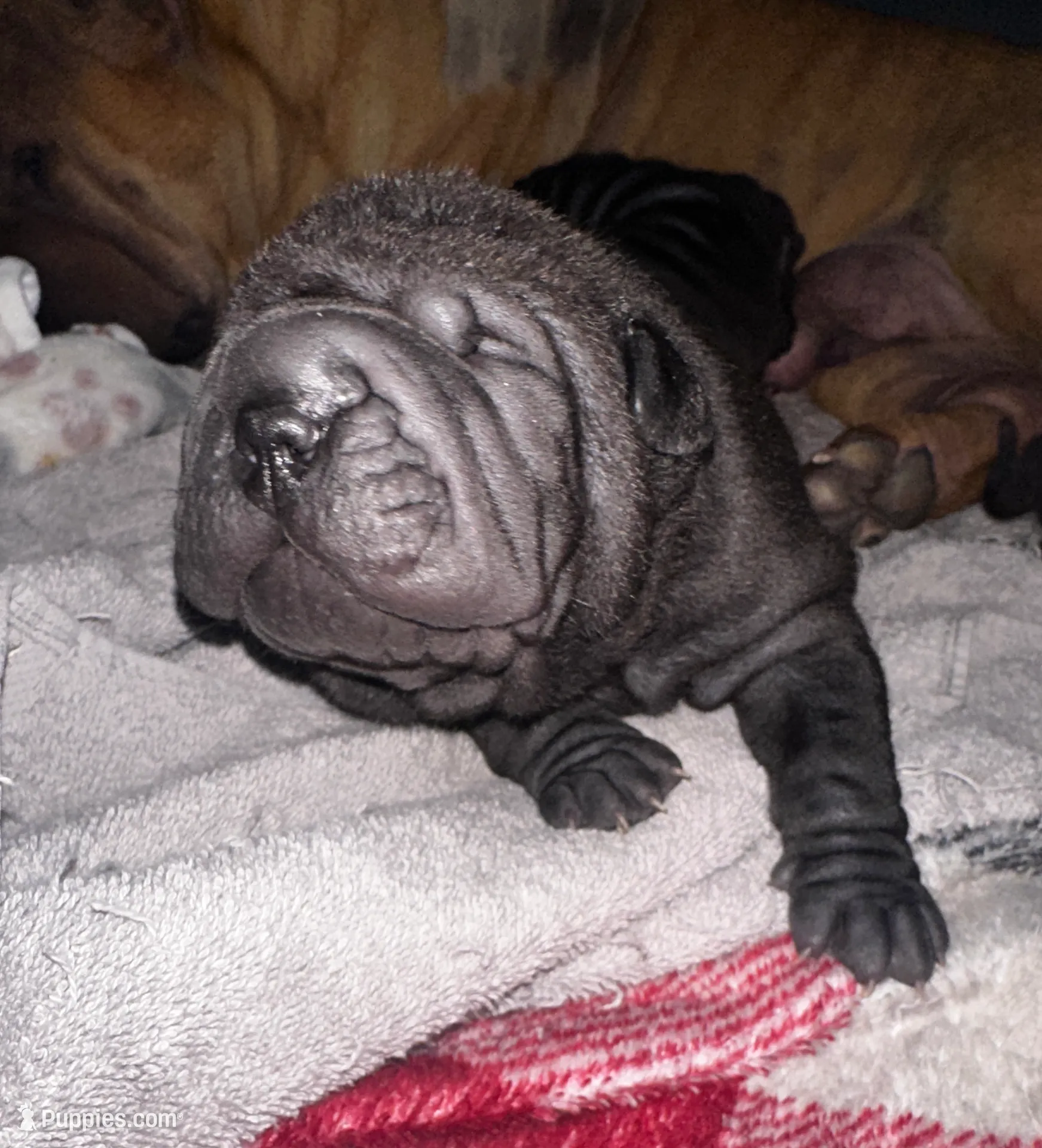 processed/1997e876-5616-4b0f-b4e5-f36f2cb934eb/listing/aeb2fdc9-3e1f-4ed5-9fb2-cf7722dd5e38/f1c573ff-169d-4741-ab49-a008b8676d2a