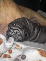 processed/1997e876-5616-4b0f-b4e5-f36f2cb934eb/listing/cf14bf27-758a-4c64-8736-8bc43c8e8eff/353f1036-e2d8-406c-806f-232ebb678ab8