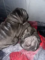 processed/1997e876-5616-4b0f-b4e5-f36f2cb934eb/listing/cf14bf27-758a-4c64-8736-8bc43c8e8eff/3b3b66d8-8b1e-44d6-8d1f-e08232fdb320