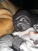 processed/1997e876-5616-4b0f-b4e5-f36f2cb934eb/listing/cf14bf27-758a-4c64-8736-8bc43c8e8eff/49e4e8d7-076d-4c7d-980d-0b2c9ed8e053