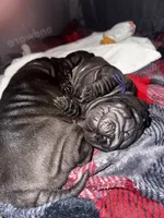 processed/1997e876-5616-4b0f-b4e5-f36f2cb934eb/listing/cf14bf27-758a-4c64-8736-8bc43c8e8eff/4c6445ff-0d30-409f-9bf3-09ff9a9dfdec