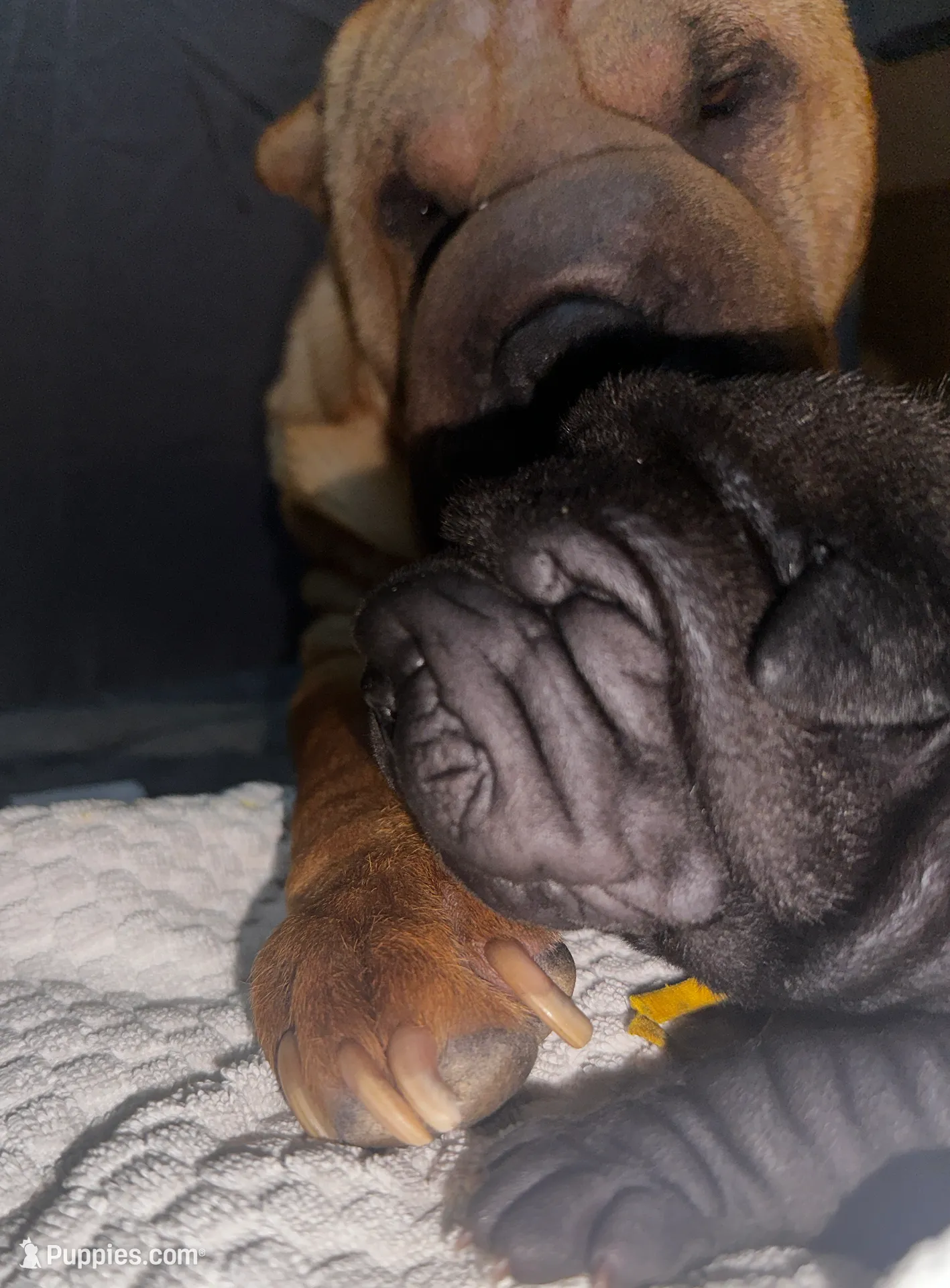 processed/1997e876-5616-4b0f-b4e5-f36f2cb934eb/listing/cf14bf27-758a-4c64-8736-8bc43c8e8eff/e3573b9d-6f1e-4130-aedb-a63e422f88bc