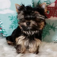 processed/199fc475-f185-407a-94d6-ce8147ace59c/facility/19b31f8e-95dc-4f76-afa9-bac45e178f26