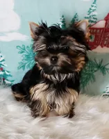 processed/199fc475-f185-407a-94d6-ce8147ace59c/facility/19b31f8e-95dc-4f76-afa9-bac45e178f26