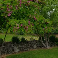 processed/199fc475-f185-407a-94d6-ce8147ace59c/facility/69128188-329d-4381-98b1-288bce903a69