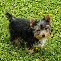 processed/199fc475-f185-407a-94d6-ce8147ace59c/facility/6f40f4a1-ad72-42d9-a5d4-39d749a0f71d