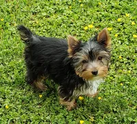 processed/199fc475-f185-407a-94d6-ce8147ace59c/facility/6f40f4a1-ad72-42d9-a5d4-39d749a0f71d