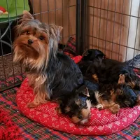 processed/199fc475-f185-407a-94d6-ce8147ace59c/facility/9cc4aec2-3ce7-4dd9-a547-5fd9b0c57767