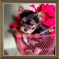 processed/199fc475-f185-407a-94d6-ce8147ace59c/facility/ad60197e-a3a6-4a8d-82a2-c7f34b1671f6