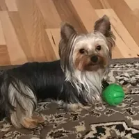 processed/199fc475-f185-407a-94d6-ce8147ace59c/facility/b34d3bbe-0a48-457d-bd38-952a7c68a5af