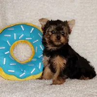 processed/199fc475-f185-407a-94d6-ce8147ace59c/facility/be779d09-173b-4ef6-a31f-a93c7c00f82f