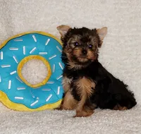 processed/199fc475-f185-407a-94d6-ce8147ace59c/facility/be779d09-173b-4ef6-a31f-a93c7c00f82f