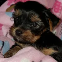 processed/199fc475-f185-407a-94d6-ce8147ace59c/facility/f41ab601-f611-49e4-9307-7b779053366c