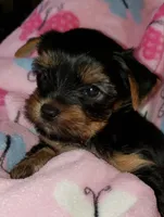 processed/199fc475-f185-407a-94d6-ce8147ace59c/facility/f41ab601-f611-49e4-9307-7b779053366c