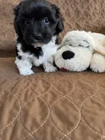 processed/19a3dd6b-cb2f-4a41-8297-8582d146fafa/listing/19e1d260-b0ab-41c0-a74e-60257bd50e04/2e07875f-d454-4a81-a86d-53e7b155ea09