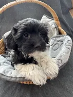 processed/19a3dd6b-cb2f-4a41-8297-8582d146fafa/listing/19e1d260-b0ab-41c0-a74e-60257bd50e04/31f4cbac-43ee-455f-a3c8-589ce4407b63