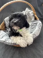 processed/19a3dd6b-cb2f-4a41-8297-8582d146fafa/listing/19e1d260-b0ab-41c0-a74e-60257bd50e04/5e14c076-4232-4bad-a340-826025c7f294