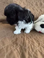 processed/19a3dd6b-cb2f-4a41-8297-8582d146fafa/listing/19e1d260-b0ab-41c0-a74e-60257bd50e04/930adddf-c523-45e3-a55c-c1c357fa5e49