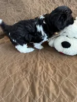 processed/19a3dd6b-cb2f-4a41-8297-8582d146fafa/listing/19e1d260-b0ab-41c0-a74e-60257bd50e04/e43fb7f6-7965-4073-b07e-09057aee6173