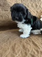 processed/19a3dd6b-cb2f-4a41-8297-8582d146fafa/listing/19e1d260-b0ab-41c0-a74e-60257bd50e04/eca0db5c-4cb5-4076-a6b6-b4f34d294c77