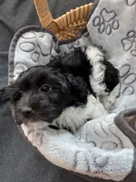 processed/19a3dd6b-cb2f-4a41-8297-8582d146fafa/listing/2a349822-bb1e-4866-bca0-ba72aa49a08a/1056465d-dcdf-4b9d-a92a-93b16b465c13