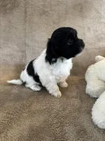 processed/19a3dd6b-cb2f-4a41-8297-8582d146fafa/listing/2bdf6ccf-2ca5-4d48-a01f-93dba6c737bb/3342d683-e55f-489d-8afb-bf8044f68380