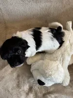 processed/19a3dd6b-cb2f-4a41-8297-8582d146fafa/listing/2bdf6ccf-2ca5-4d48-a01f-93dba6c737bb/72d7738e-d158-4347-b2da-3e162ba93dc3