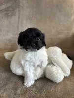 processed/19a3dd6b-cb2f-4a41-8297-8582d146fafa/listing/2bdf6ccf-2ca5-4d48-a01f-93dba6c737bb/7512a2ef-80b8-4a04-882a-05770c21f2e6