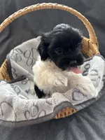 processed/19a3dd6b-cb2f-4a41-8297-8582d146fafa/listing/2bdf6ccf-2ca5-4d48-a01f-93dba6c737bb/c335cbe2-d336-4472-8349-8ce59a68e05a