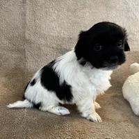 processed/19a3dd6b-cb2f-4a41-8297-8582d146fafa/listing/2bdf6ccf-2ca5-4d48-a01f-93dba6c737bb/c73bbe91-ab69-4a82-b428-f6d98cda6569