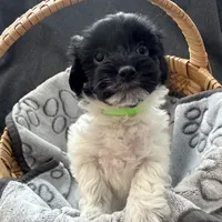 processed/19a3dd6b-cb2f-4a41-8297-8582d146fafa/listing/2bdf6ccf-2ca5-4d48-a01f-93dba6c737bb/d4849a1f-5d53-4e1c-8337-2fe88163b4fc