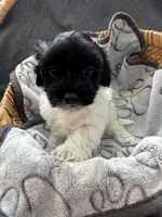 processed/19a3dd6b-cb2f-4a41-8297-8582d146fafa/listing/2bdf6ccf-2ca5-4d48-a01f-93dba6c737bb/d7a89b2c-727b-4191-80a8-1df4a97bd9b1