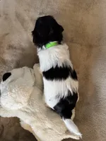 processed/19a3dd6b-cb2f-4a41-8297-8582d146fafa/listing/2bdf6ccf-2ca5-4d48-a01f-93dba6c737bb/ddc28117-e586-4409-8b63-c1c854d76e86