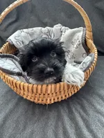 processed/19a3dd6b-cb2f-4a41-8297-8582d146fafa/listing/6085dd20-c419-4080-84de-09c1d5c4fb18/2ac2644a-303d-4c3f-a682-97f69fd231d2