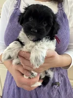 processed/19a3dd6b-cb2f-4a41-8297-8582d146fafa/listing/6085dd20-c419-4080-84de-09c1d5c4fb18/5859fc26-86cb-4d04-8111-be721f9a0958