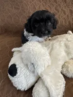 processed/19a3dd6b-cb2f-4a41-8297-8582d146fafa/listing/6085dd20-c419-4080-84de-09c1d5c4fb18/dafce74b-43d9-4dcf-872f-b958315f93c9