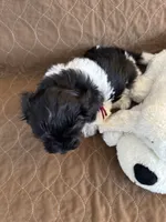 processed/19a3dd6b-cb2f-4a41-8297-8582d146fafa/listing/6085dd20-c419-4080-84de-09c1d5c4fb18/e197b2f1-ddb4-47dd-8d0f-b6f0333f3ffe