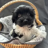 processed/19a3dd6b-cb2f-4a41-8297-8582d146fafa/listing/6085dd20-c419-4080-84de-09c1d5c4fb18/e7b9a265-ee67-45f5-852b-ad36b0969497