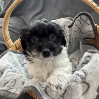 processed/19a3dd6b-cb2f-4a41-8297-8582d146fafa/listing/7060b56a-a95c-44ed-ba98-588224a85538/5b752ff3-202c-41f7-b555-a64a3c512c94