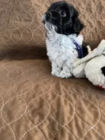 processed/19a3dd6b-cb2f-4a41-8297-8582d146fafa/listing/7060b56a-a95c-44ed-ba98-588224a85538/6280eb23-5274-4b0f-803d-c42f60f6f3ad