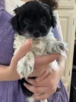 processed/19a3dd6b-cb2f-4a41-8297-8582d146fafa/listing/7060b56a-a95c-44ed-ba98-588224a85538/aae49249-d3f9-4554-935b-9fc6ffef1943