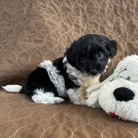 processed/19a3dd6b-cb2f-4a41-8297-8582d146fafa/listing/7060b56a-a95c-44ed-ba98-588224a85538/b2a102c3-a043-44da-bf18-eb3b99ad68b8